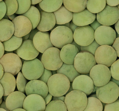 Large Green Lentils