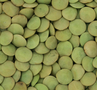 Medium Green Lentils
