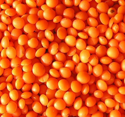 Red Football Lentils