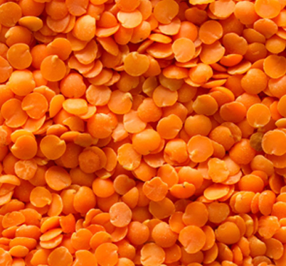 Red Split Lentils