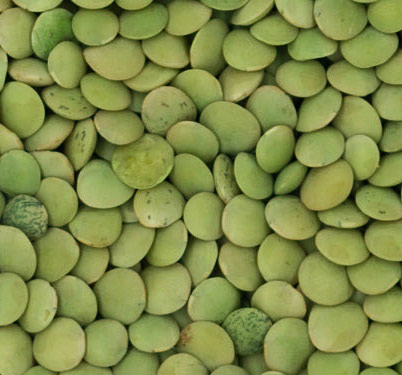 Small Green Lentils