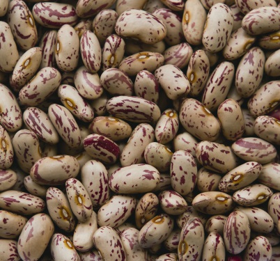 Cranberry Beans