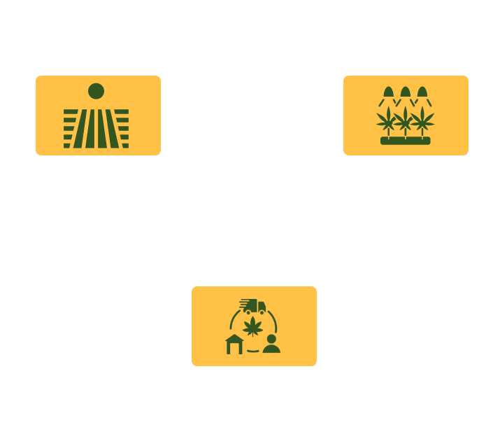 hemp supply chain