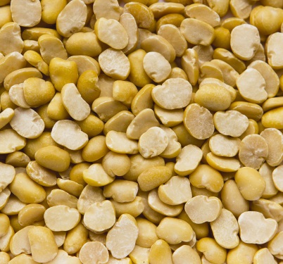 Split Faba Beans