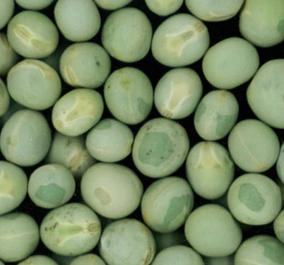 Green Peas