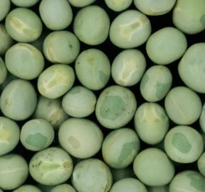 Green Peas