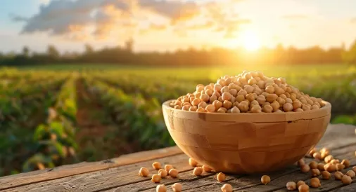 Specialty Crops & Plant Proteins