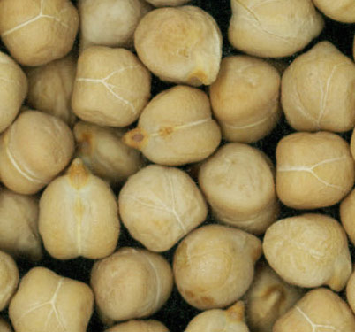 Kabuli Chickpeas