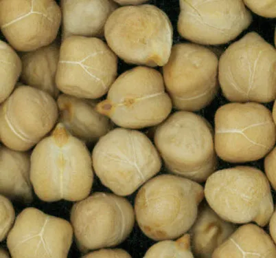 Kabuli Chickpeas