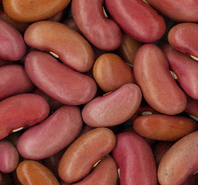 Light Red Kidney Beans