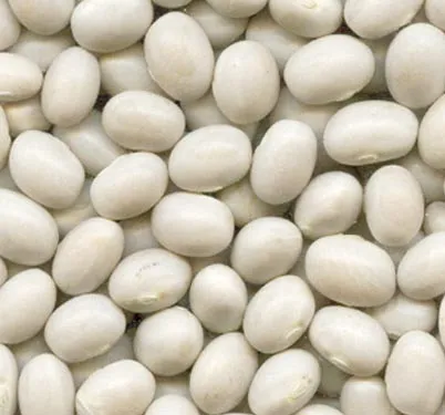 Navy Beans