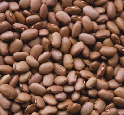 Pinto Beans