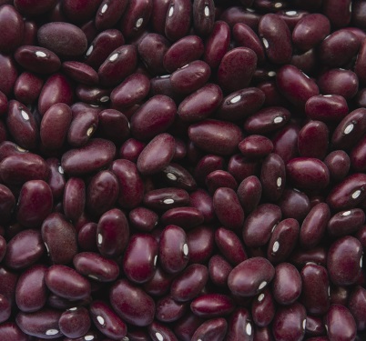 Small Red Beans