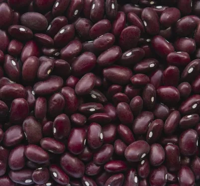 Small Red Beans