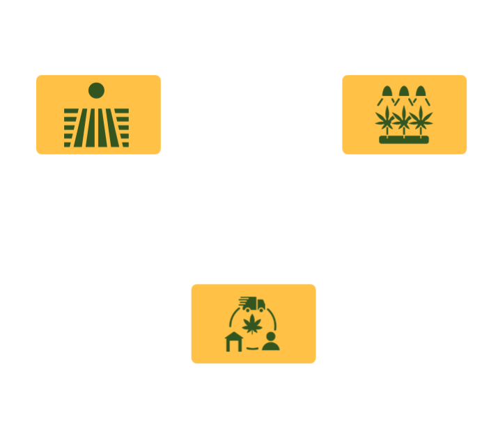 hemp supply chain