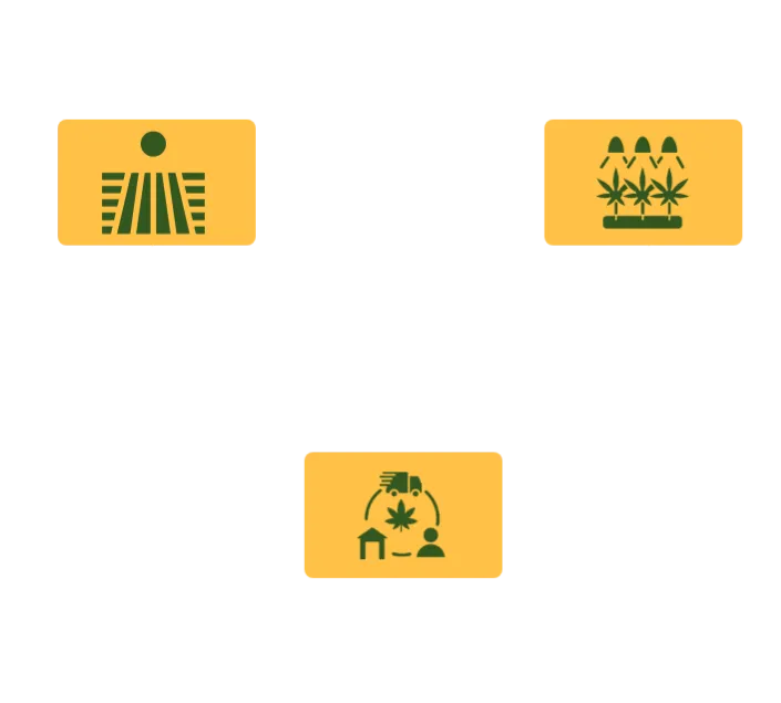 hemp supply chain