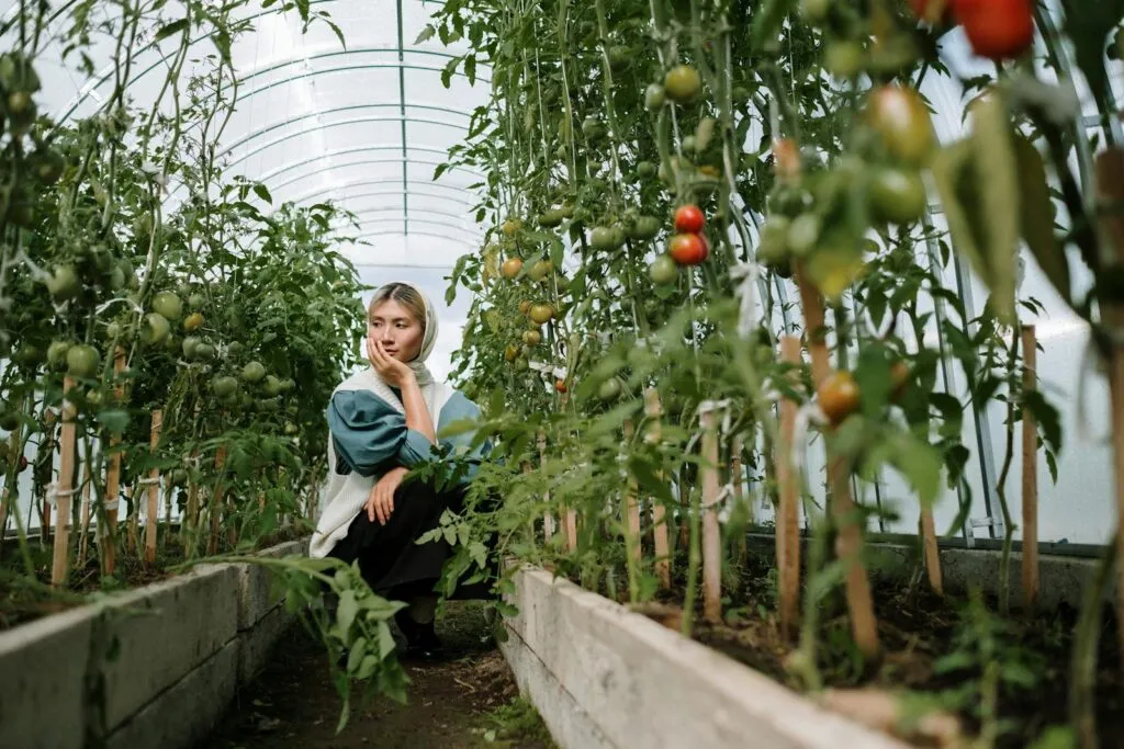 How Climate-Resilient Hemp Crops Can Shape the Future of Food Security