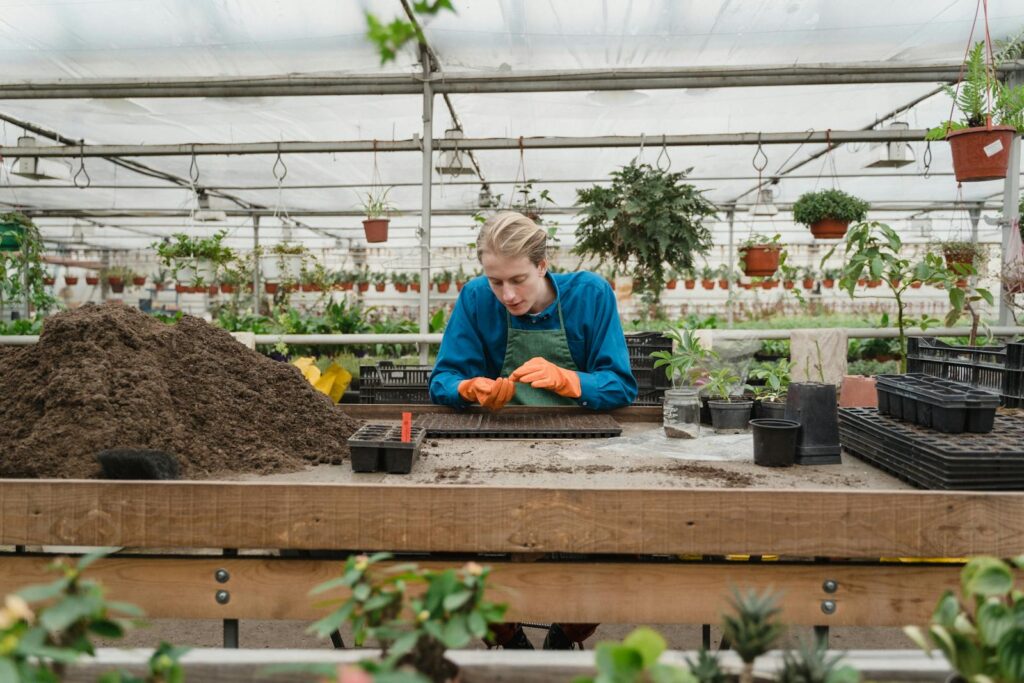 Horticulturist planting seedlings in a greenhouse environment with various plants.
