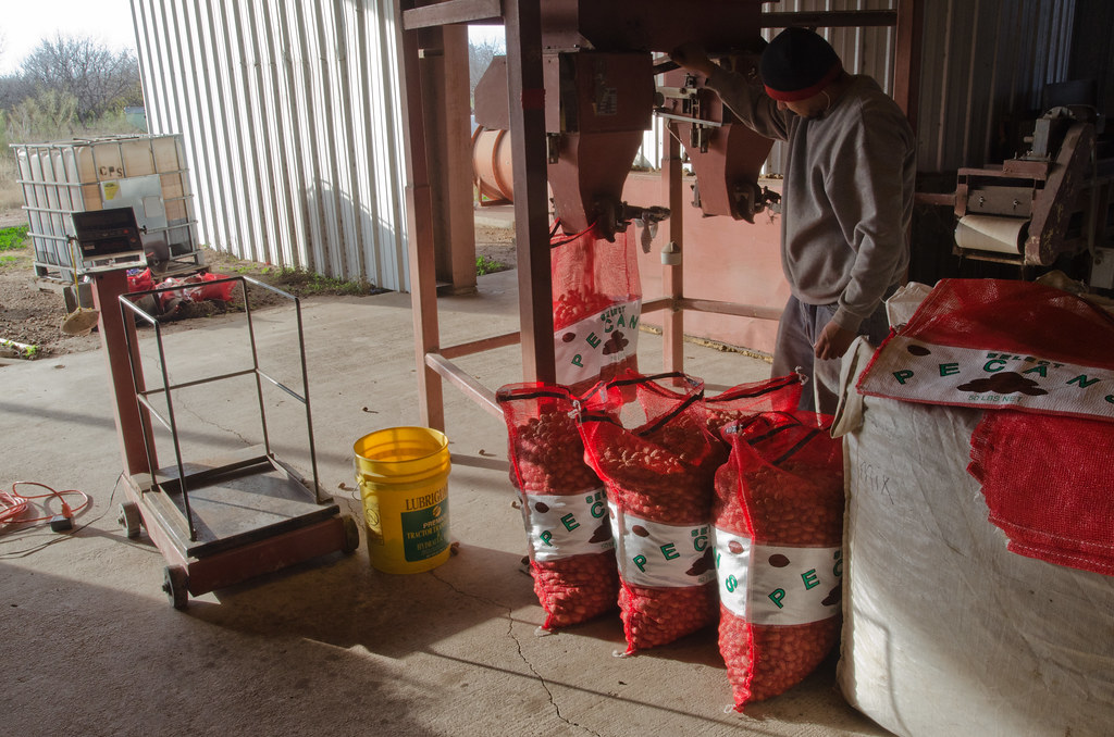 Initial Processing: On‐Farm to Facility