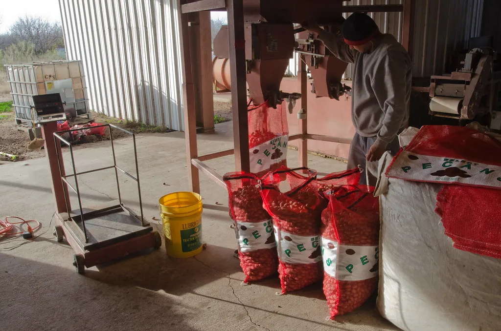 Initial Processing: On‐Farm to Facility