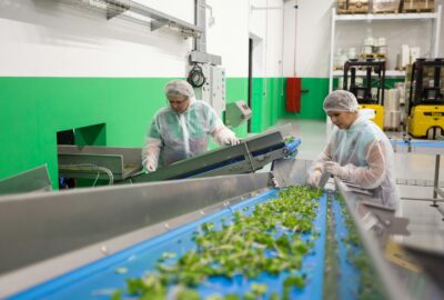 Inside the Hemp Supply Chain: From Cultivation to Consumer Products