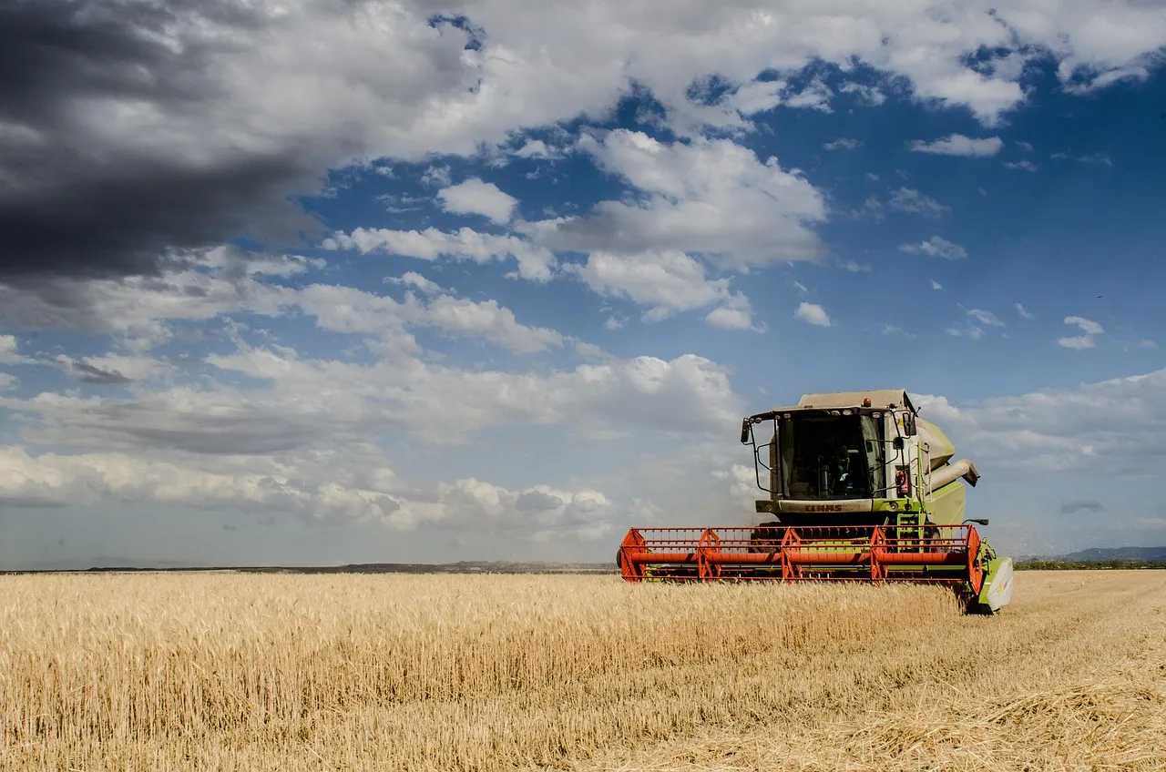 harvest, combine harvester, farming, cereals, herbaceous, food, bread, bakery, artesian bread, nutrition, health, combine harvester, combine harvester, combine harvester, combine harvester, combine harvester