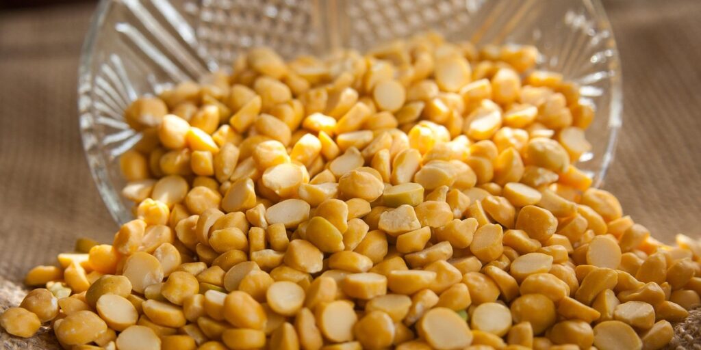 Why Next-Gen Consumers Are Choosing Pulse Proteins for Everyday Fitness & Clean Eating