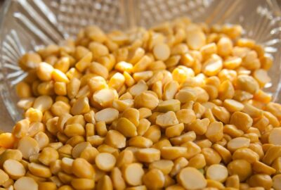 Why Next-Gen Consumers Are Choosing Pulse Proteins for Everyday Fitness & Clean Eating