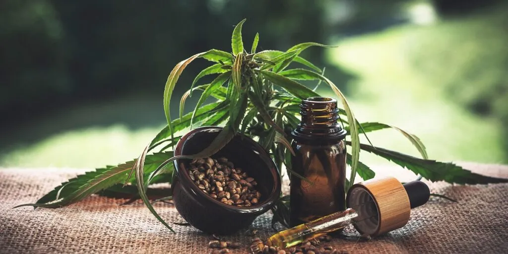 The Growing Demand for Hemp-Infused Wellness Foods