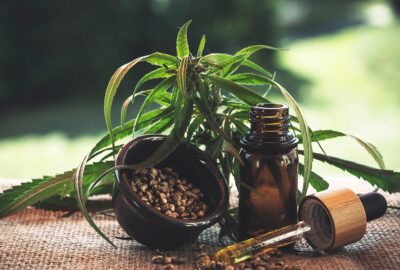 The Growing Demand for Hemp-Infused Wellness Foods