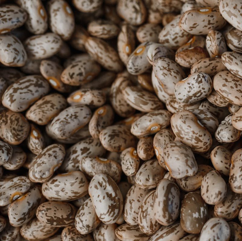 A detailed close-up of organic pinto beans perfect for healthy food concepts.