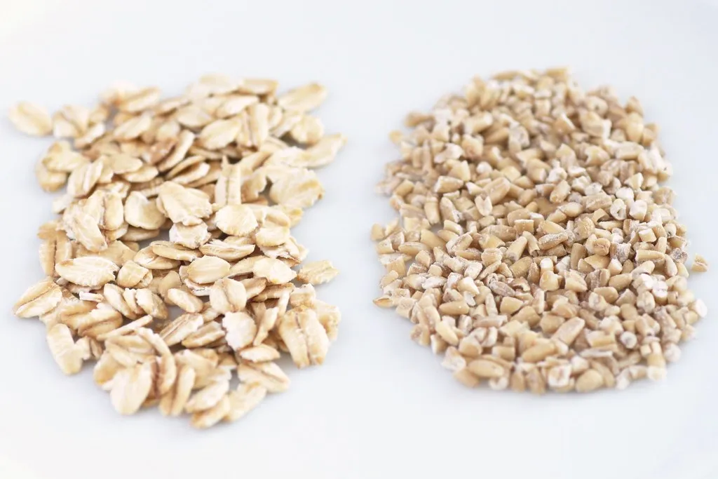 How Pulse Proteins Are Redefining High-Protein Snacks for the Modern Lifestyle