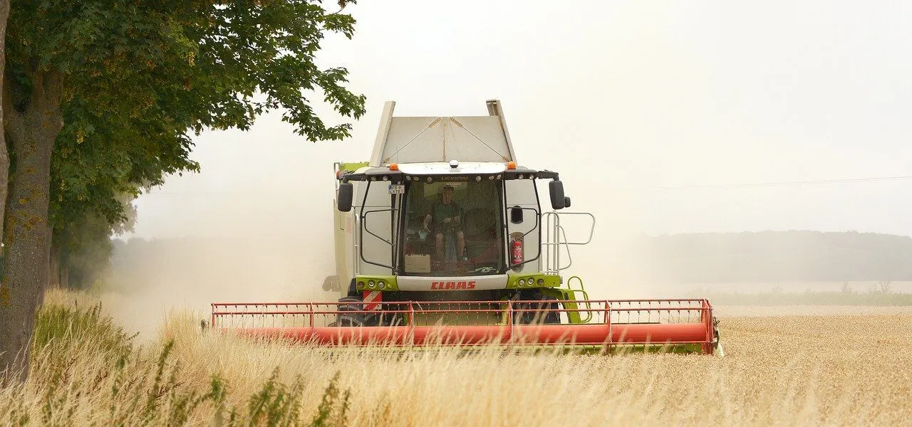 combine harvester, agriculture, harvest, grain, panasonic, lumix, wetterau, hesse, germany, claas
