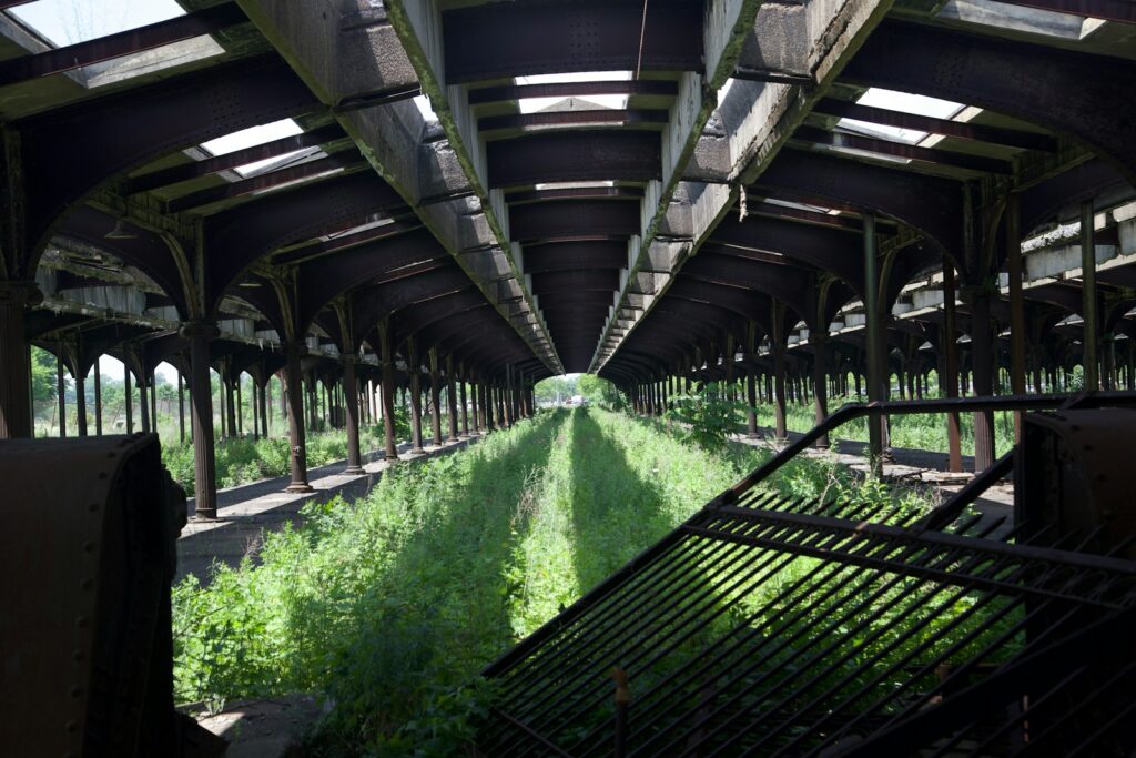 Hemp as a Carbon Sequestration Crop: The Environmental Case for Large-Scale Production