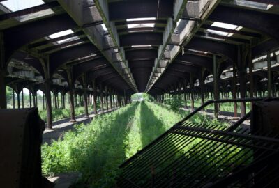 Hemp as a Carbon Sequestration Crop: The Environmental Case for Large-Scale Production