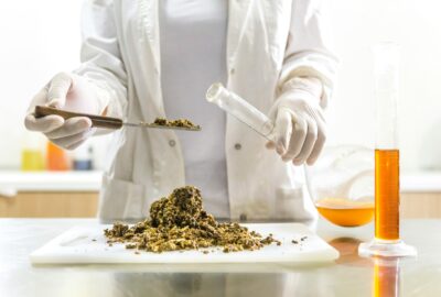 Hemp Seed Oil vs. Traditional Cooking Oils: A Nutritional and Sustainability Comparison