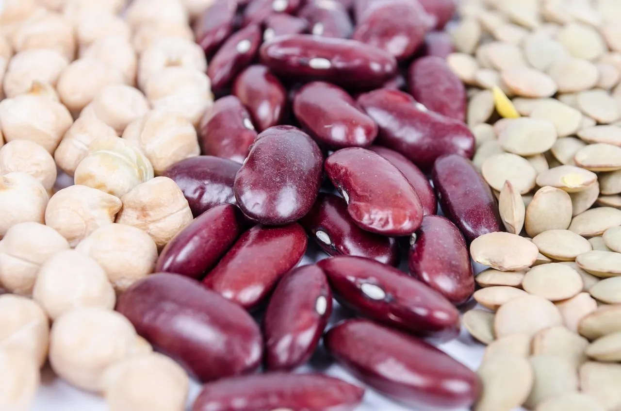 agriculture, assortment, background, bean, black, brown, cereal, chickpea, close-up, collection, crop, detail, diet, different, dry, food, grain, green, group, haricot, health, healthy, ingredient, kidney, legume, lentil, macrobiotic, mix, natural, haricot, haricot, haricot, haricot, haricot, macrobiotic, macrobiotic, macrobiotic