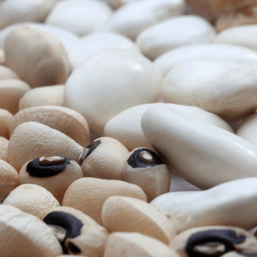 Buy Navy Beans for Versatile Navy Bean Dishes (1)