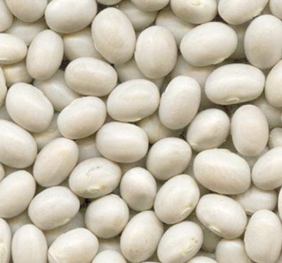 navy-beans
