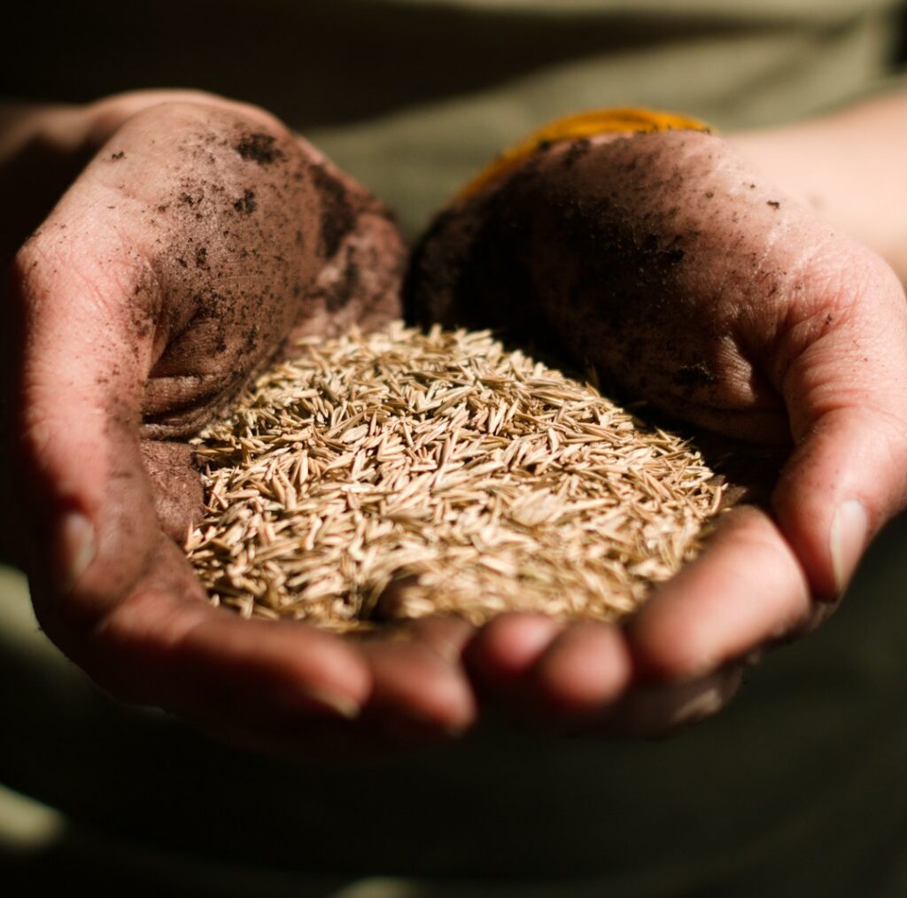 person holding brown round ornament