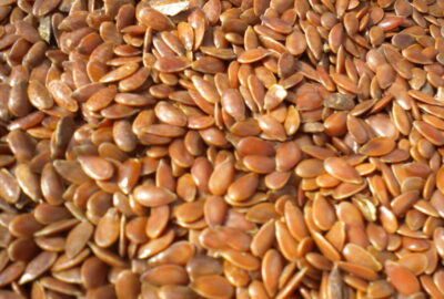 Brown Flaxseed: The Quiet Superfood Driving Demand in Functional Nutrition