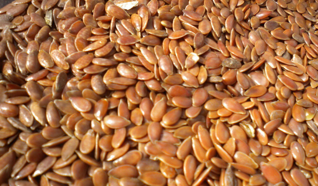 Brown Flaxseed: The Quiet Superfood Driving Demand in Functional Nutrition