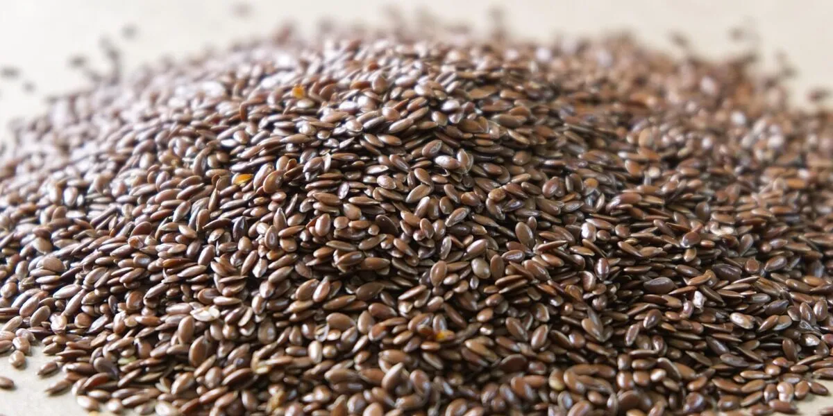 flax, seeds, brown, chia, healthy, grains, organic, agriculture, omega-3, flax, flax, flax, flax, flax, chia, omega-3