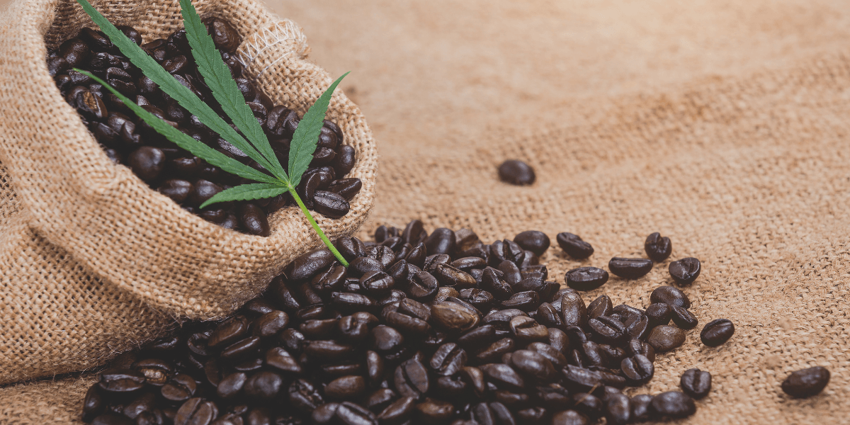 Benefits of Utilizing Hemp Byproducts