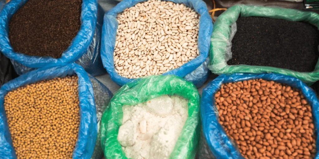 Circular Economy Models: How Food Brands Are Closing the Loop with Pulse Crops