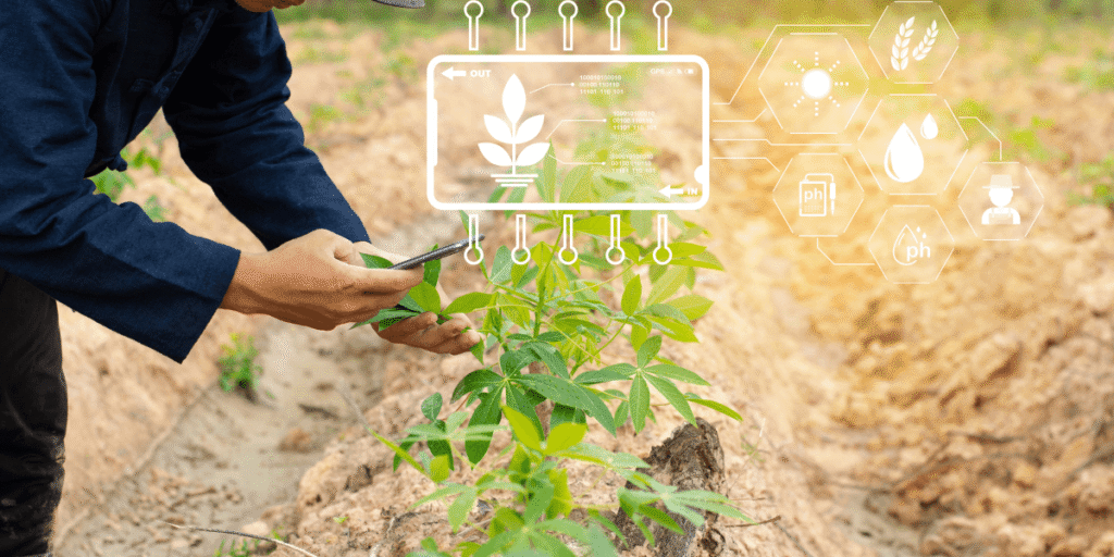 Climate Change Adaptation: How Hemp and Pulses Fit into Future Food Systems