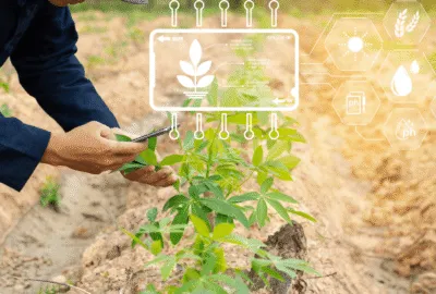 Climate Change Adaptation: How Hemp and Pulses Fit into Future Food Systems