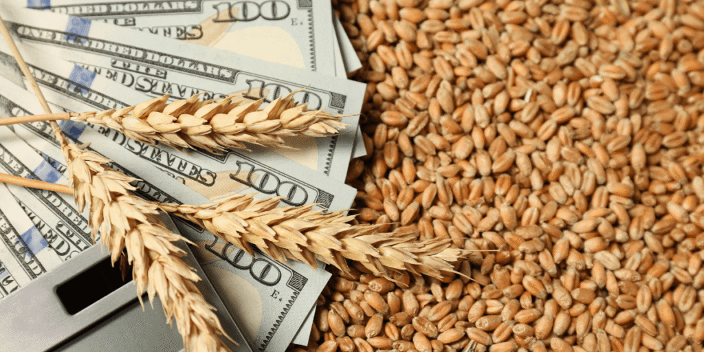 Cost Comparison, Hemp and Pulse Proteins vs Traditional Animal Proteins