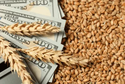 Cost Comparison, Hemp and Pulse Proteins vs Traditional Animal Proteins