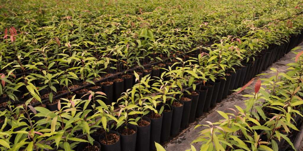 From Farm Waste to Revenue: Hemp Byproducts Creating New Income Streams